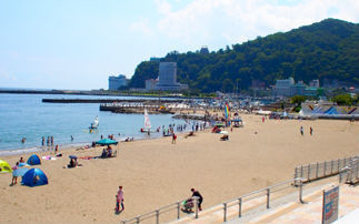 加太海水浴場 海水浴 磯遊び 宝探し qで楽しもう 友達や子供と一緒にお出かけ おすすめ穴場レジャースポット 週末 雨の日のお出かけ